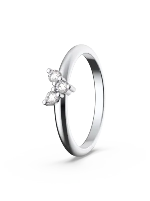Anilo Asteria