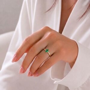 Anillo Raudal